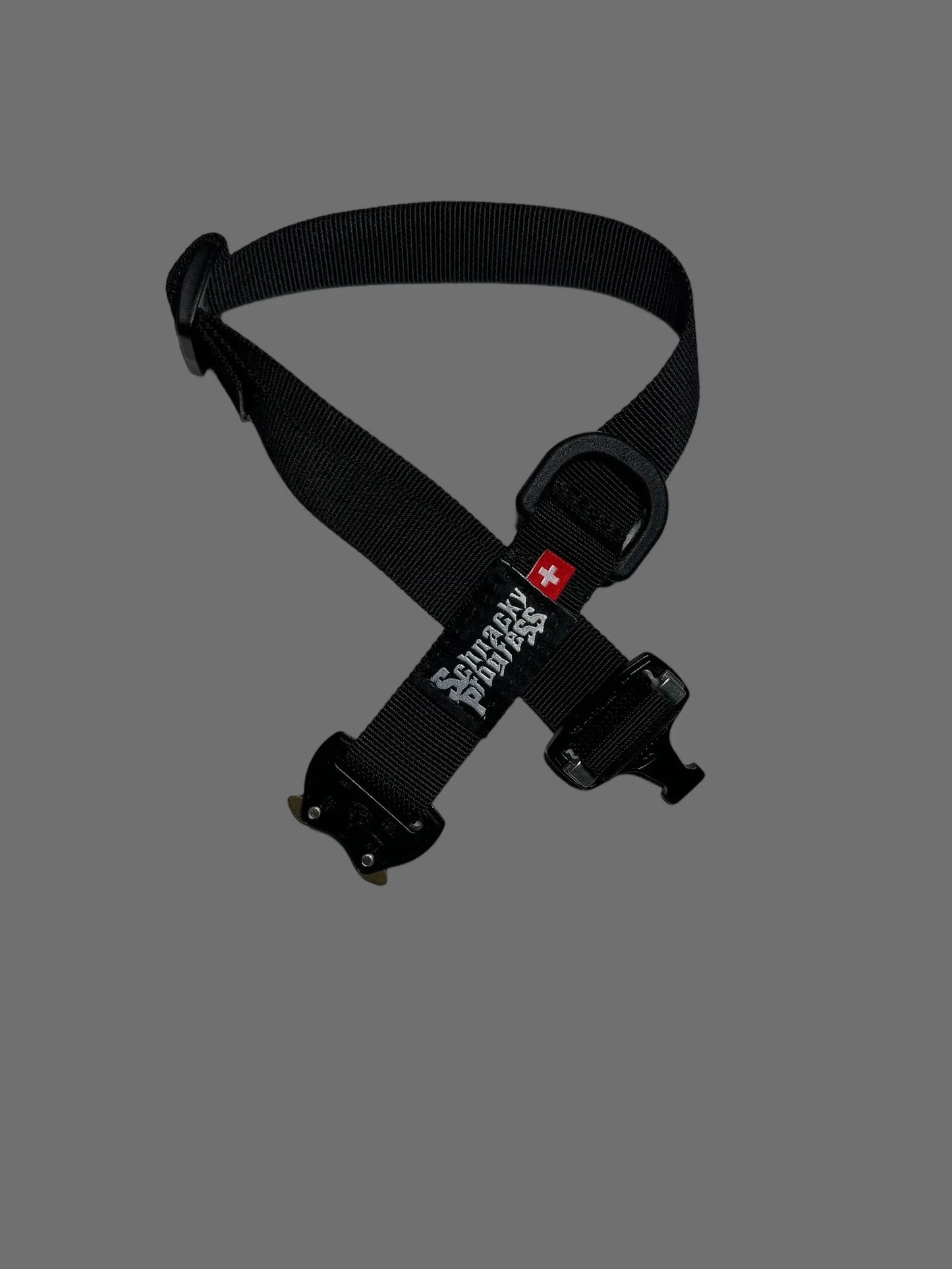 The Dog collar Schnacky Progress