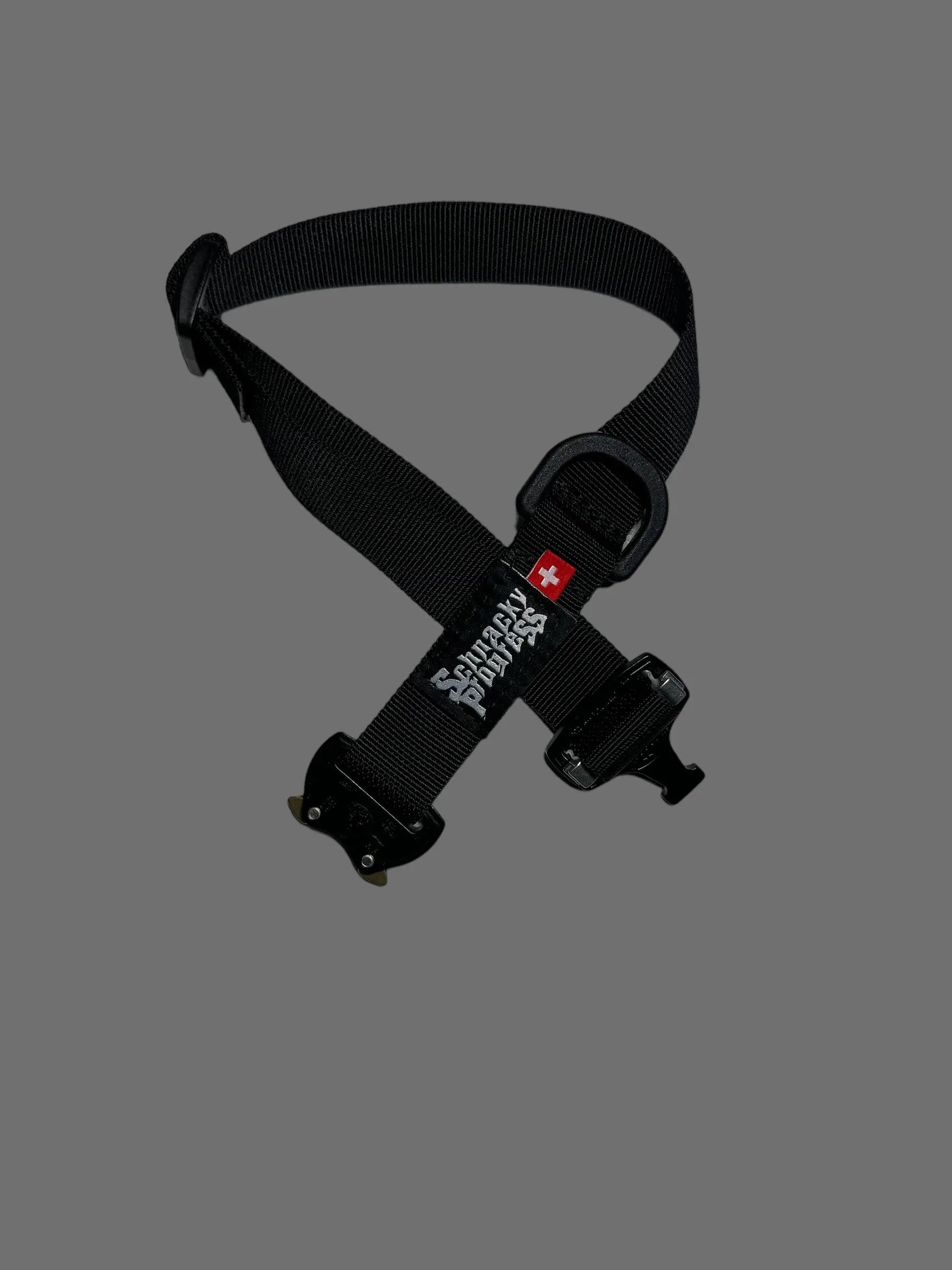 The Dog collar Schnacky Progress