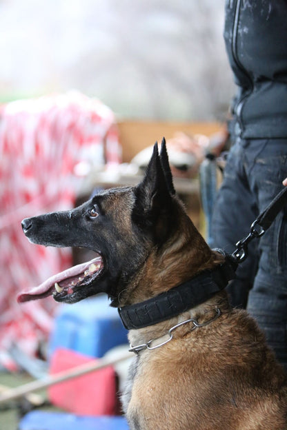 R-Collar