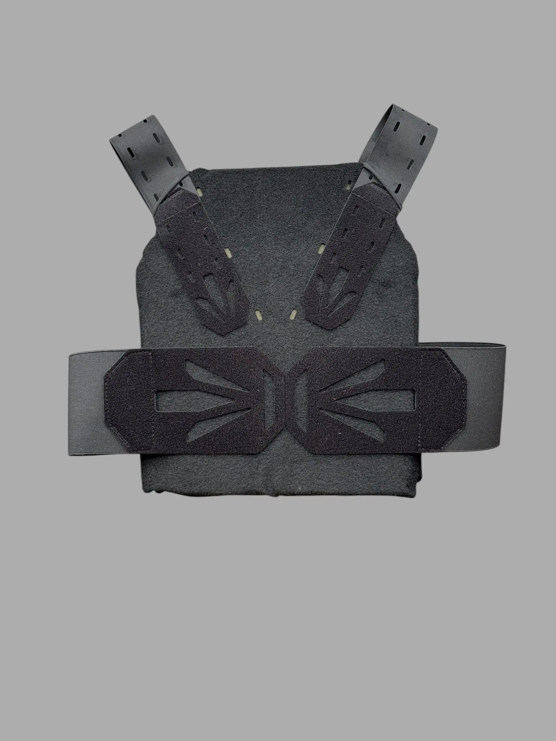 Plate Carrier "V" Schnacky Progress