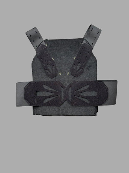 Plate Carrier "V" Schnacky Progress