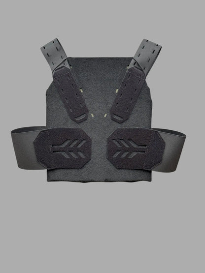 Plate Carrier "V" Schnacky Progress