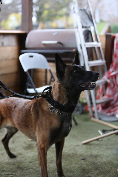 R-Collar