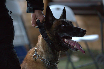 R-Collar