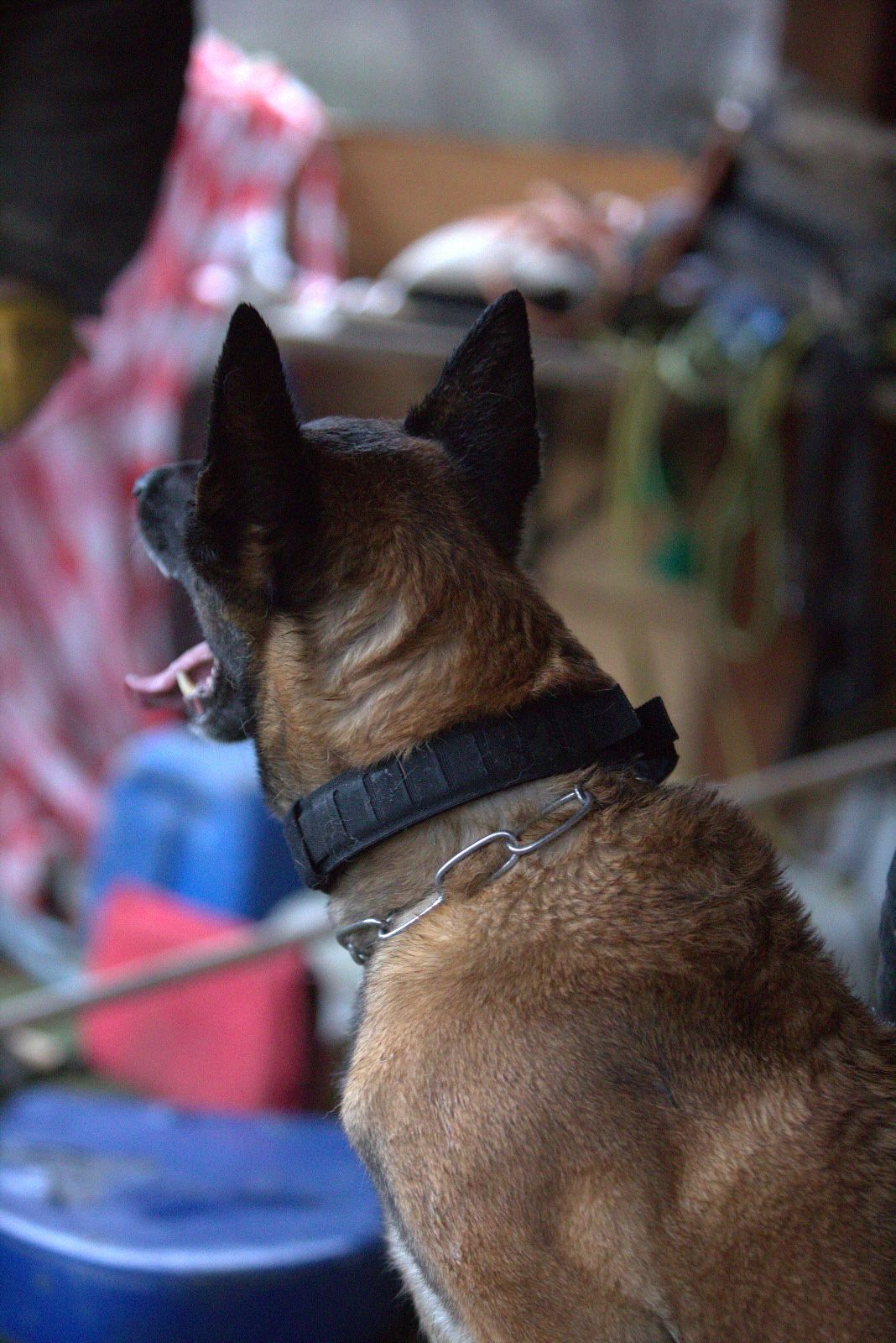 R-Collar